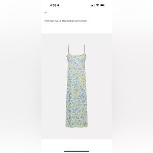 Zara Floral Maxi Dress - Blue and Green